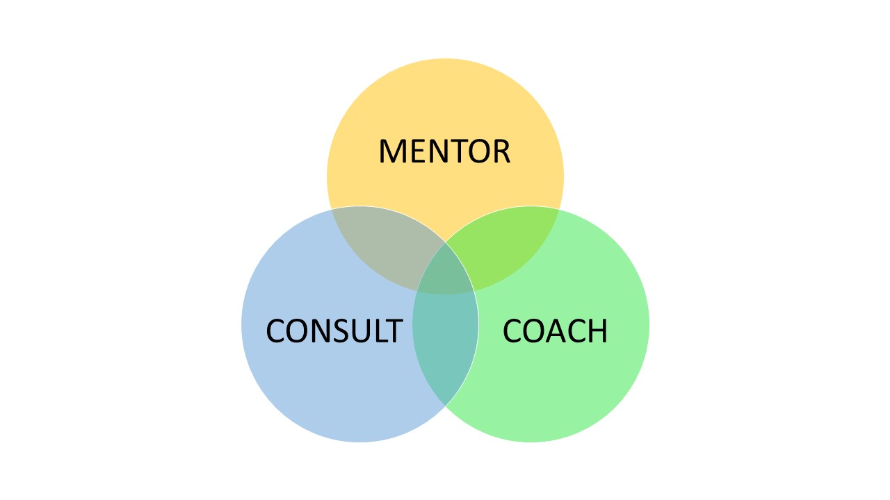 Consultant – Coach – Mentor? – Dr. Victoria Boyd